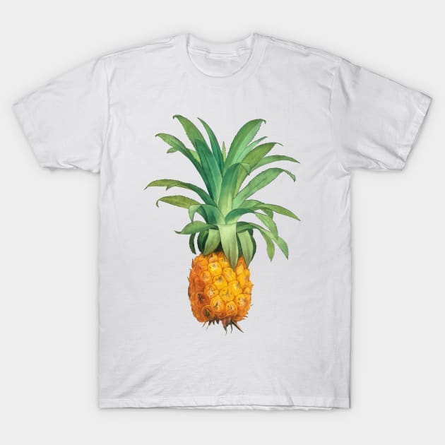 Pineapple T-Shirt by CatyArte